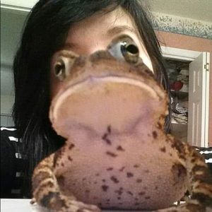 Meet your Posher, Jay